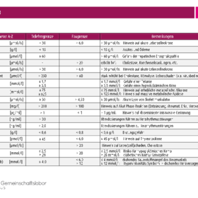 2018_06_Übermittlung kritischer Messwerte Tabelle