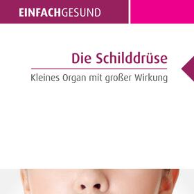 Die Schilddrüse - Kleines Organ mit großer Wirkung
